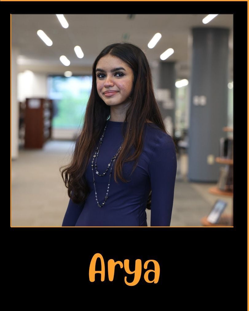 Arya Chudiwale
